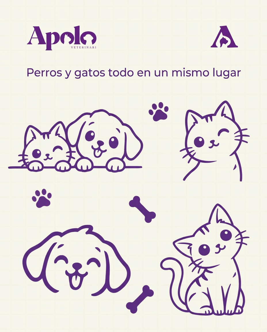 Apolo — sistema lineal